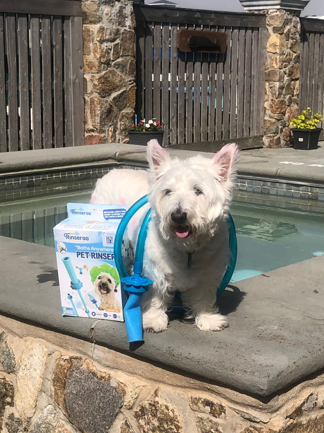 Why I Choose A Rinseroo To Bathe My Dog