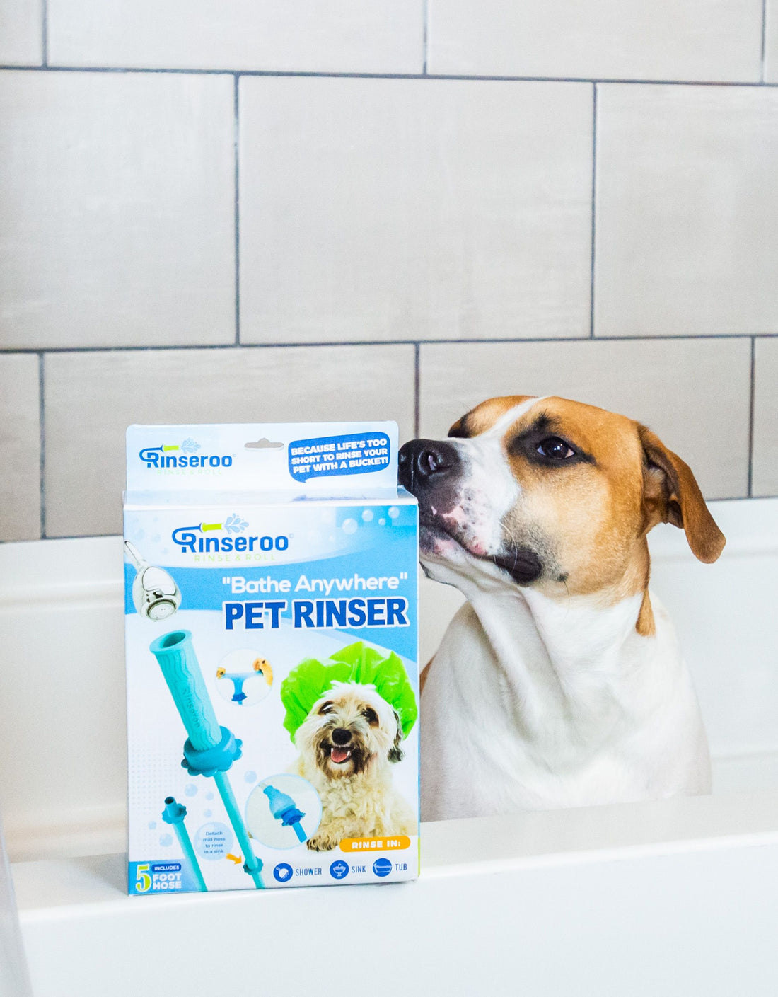 5 Dog Shower Attachments You Can Use To Wash Your Fur Babies