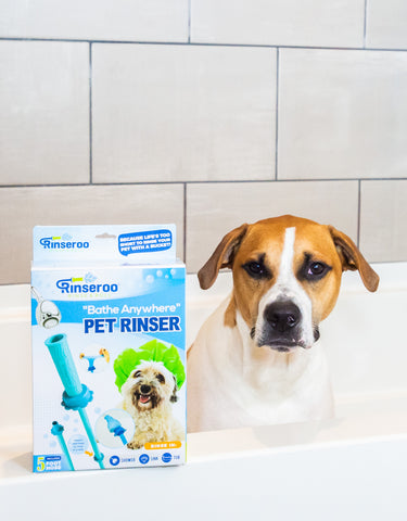Pet Shower Hose w/ Spout